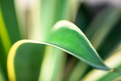 《怪物猎人：荒野》PS商店页面上线 可加入心愿单